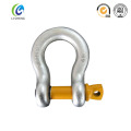 Adjustable screw pin anchor shackle